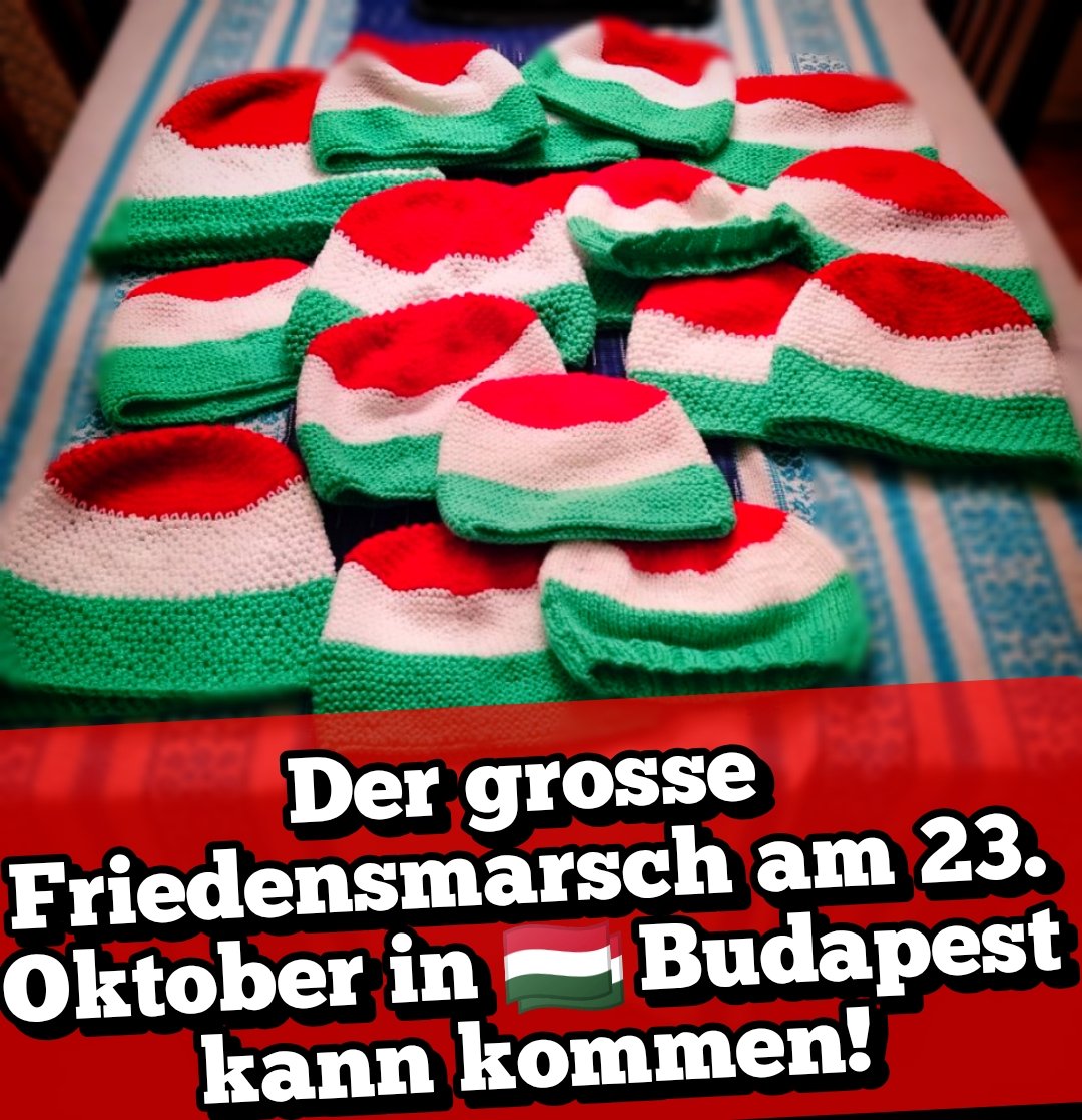 IgnazBearth's tweet image. Die liebe Katrin hat Ungarn-Mützen für den Friedensmarsch in 🇭🇺 Budapest gestrickt.

Wir sehen uns am Donnerstag, 23. Oktober 08:30 Uhr in Budapest.

Treffpunkt:
Dísz-tó
maps.app.goo.gl/Tz5YwCAADtrZCo…