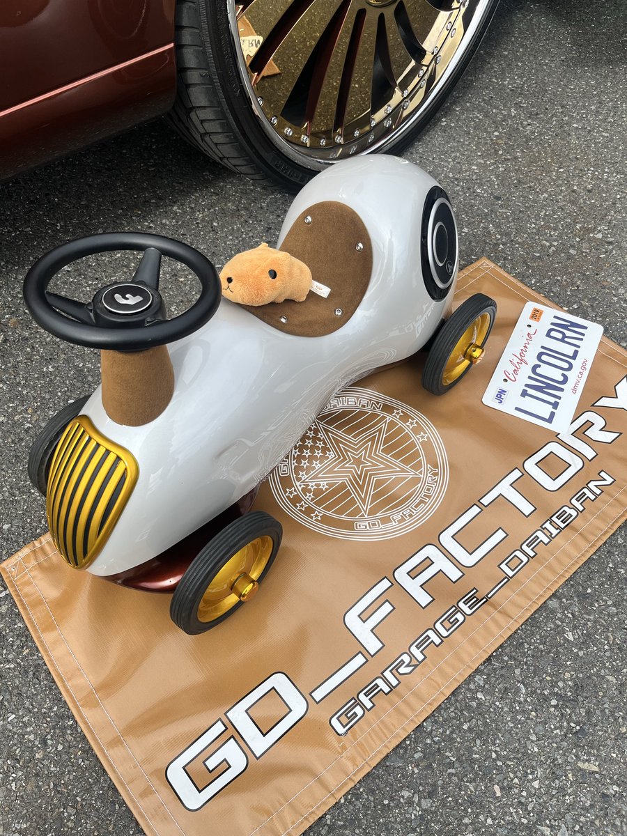 カピバラさん (@U7H0MgX66beNbp3) / Posts / X