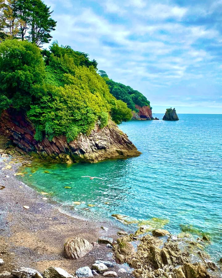 Beautiful Beacon Cove is one of Torquay’s best-kept secrets – a peaceful little haven just steps from the buzz of the main beach. 🏖️ 🤫 

#beach #agathachristie #autumn #englishriviera #devon