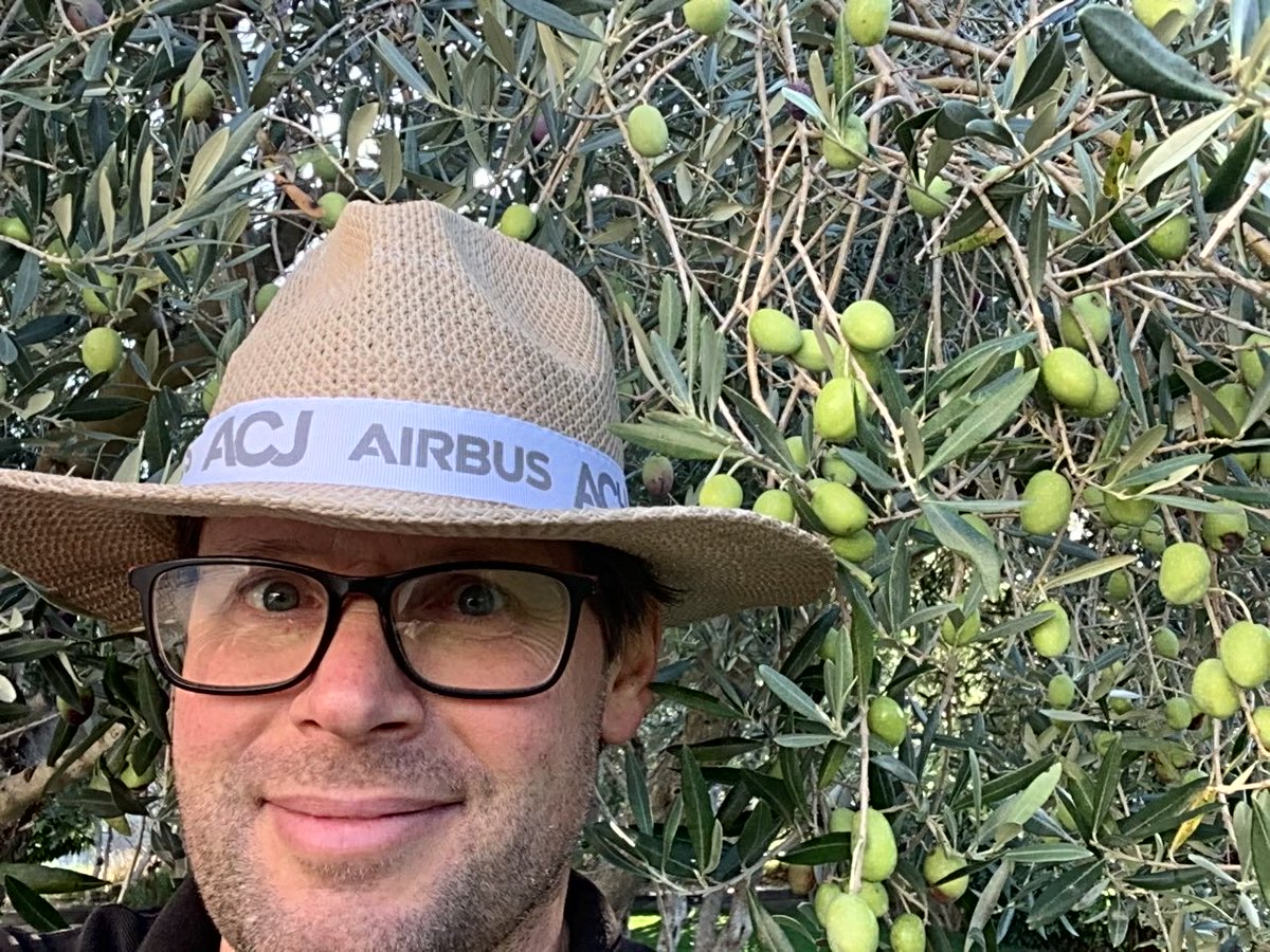 Ever seen a designer up an olive tree?
You have now.

That time of the year again and spending the week in our little domain helping to harvest the olive crop. Can highly recommend some R&amp;R with Mother Nature.

#olives #oliveharvest #provence