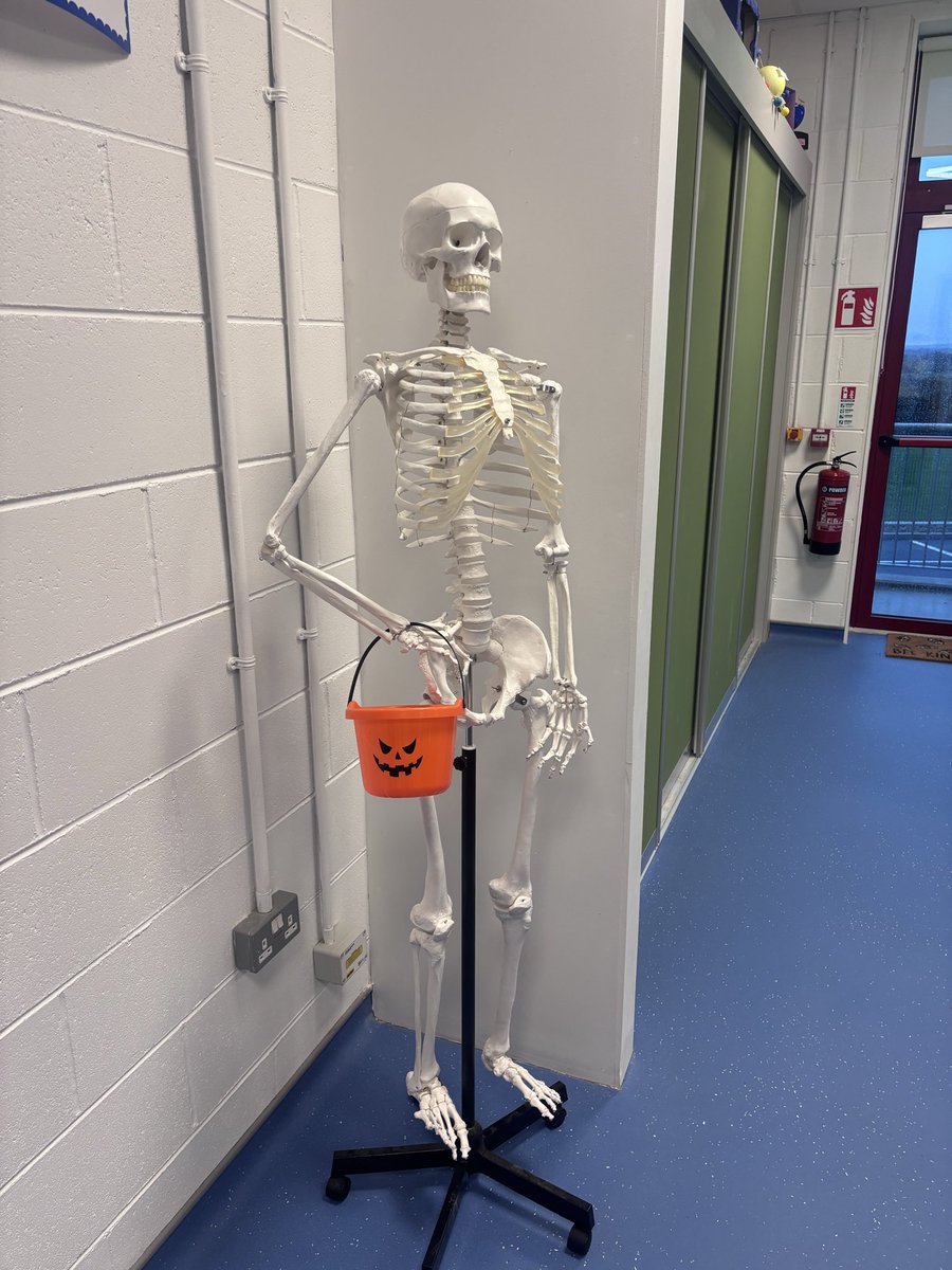 Aisling O'Connor tweet media