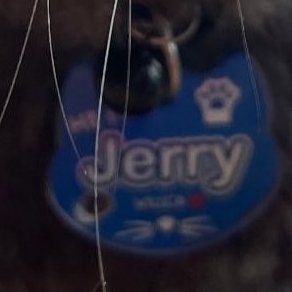 so "willca ❤️" pala nakalagay below jerry's name at galing sa catcher 😭