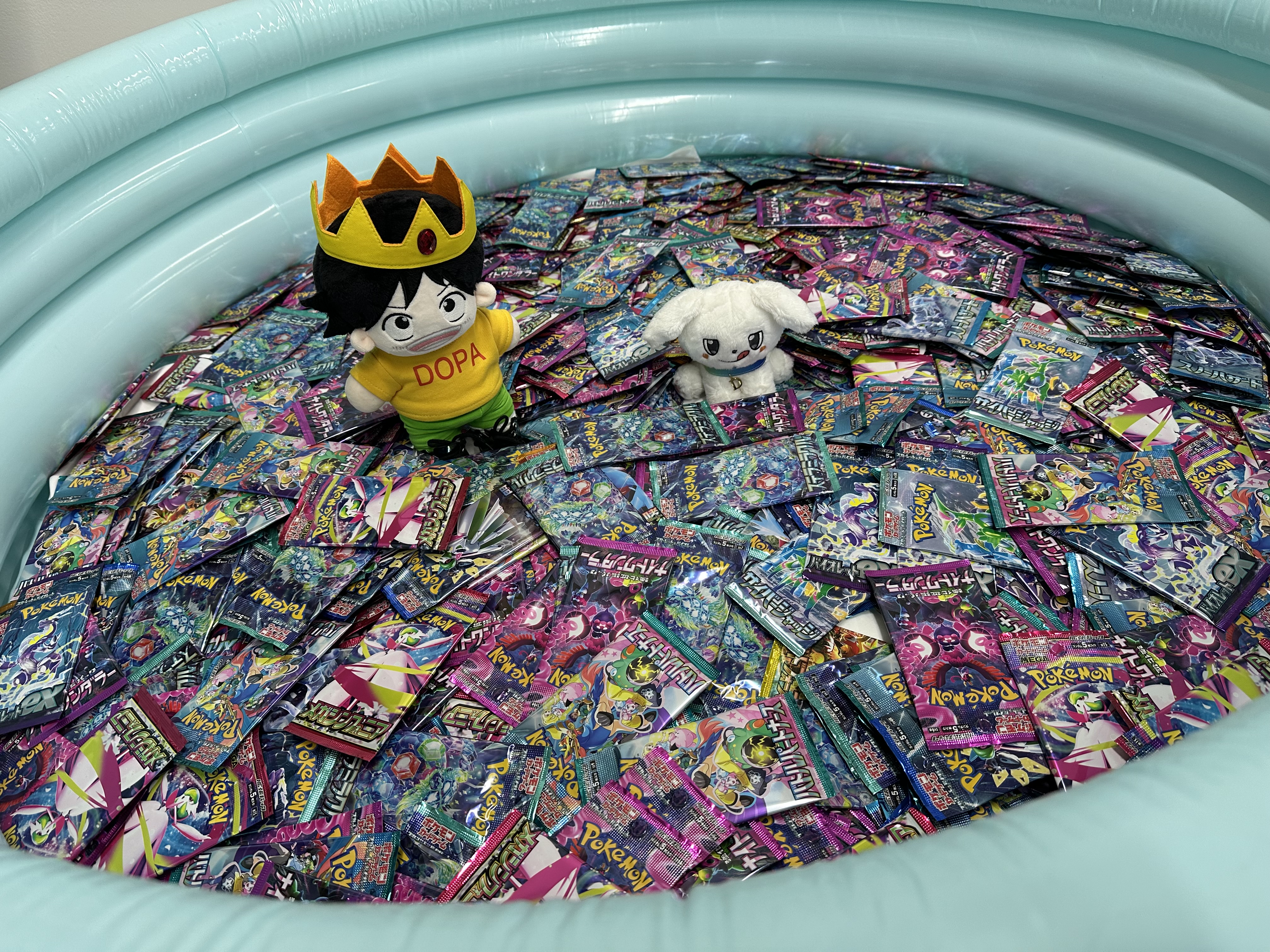 .*・゜　.゜・*.♡ 他の人は購入をお控えくださいませ。 手乗りパンダ (@kiyorin02) / X