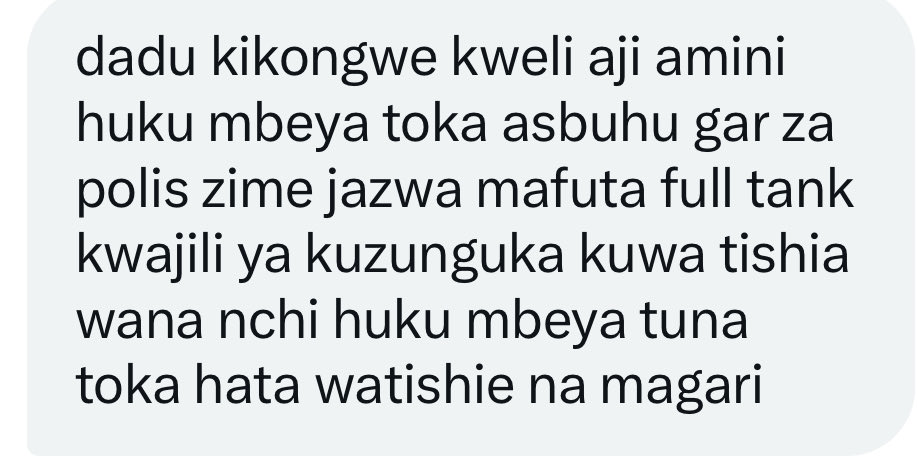 Maria Sarungi Tsehai tweet media