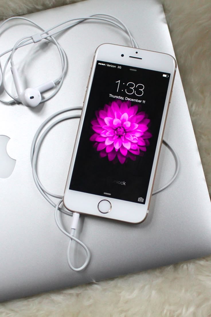 All in their prime 

You can only choose one for the rest of your life: