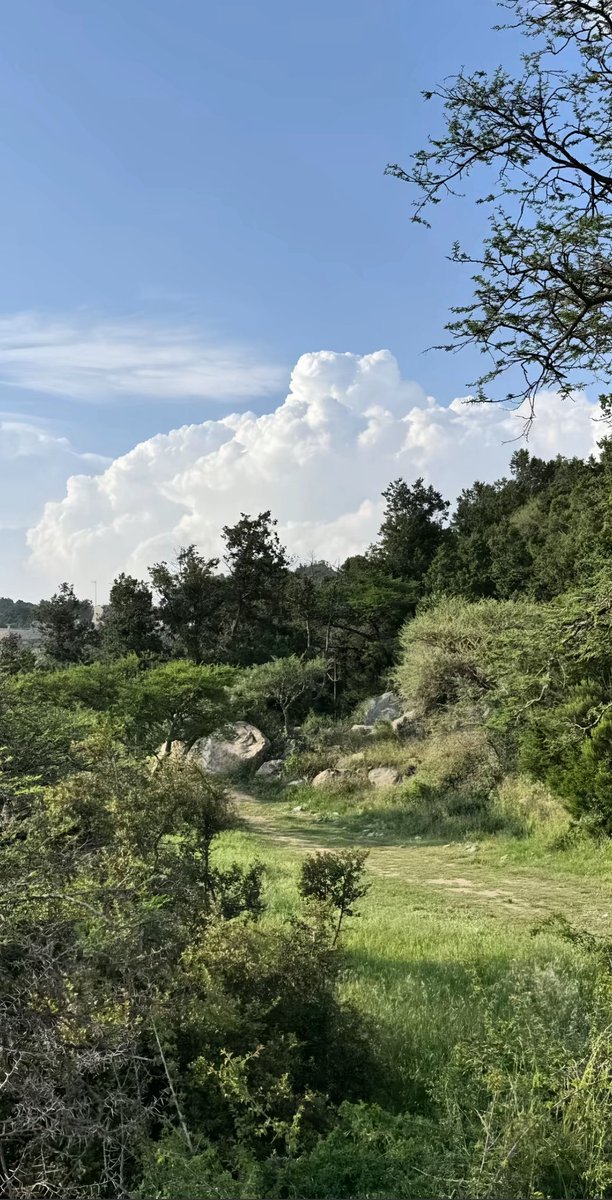 يلومونننيييي بحبها