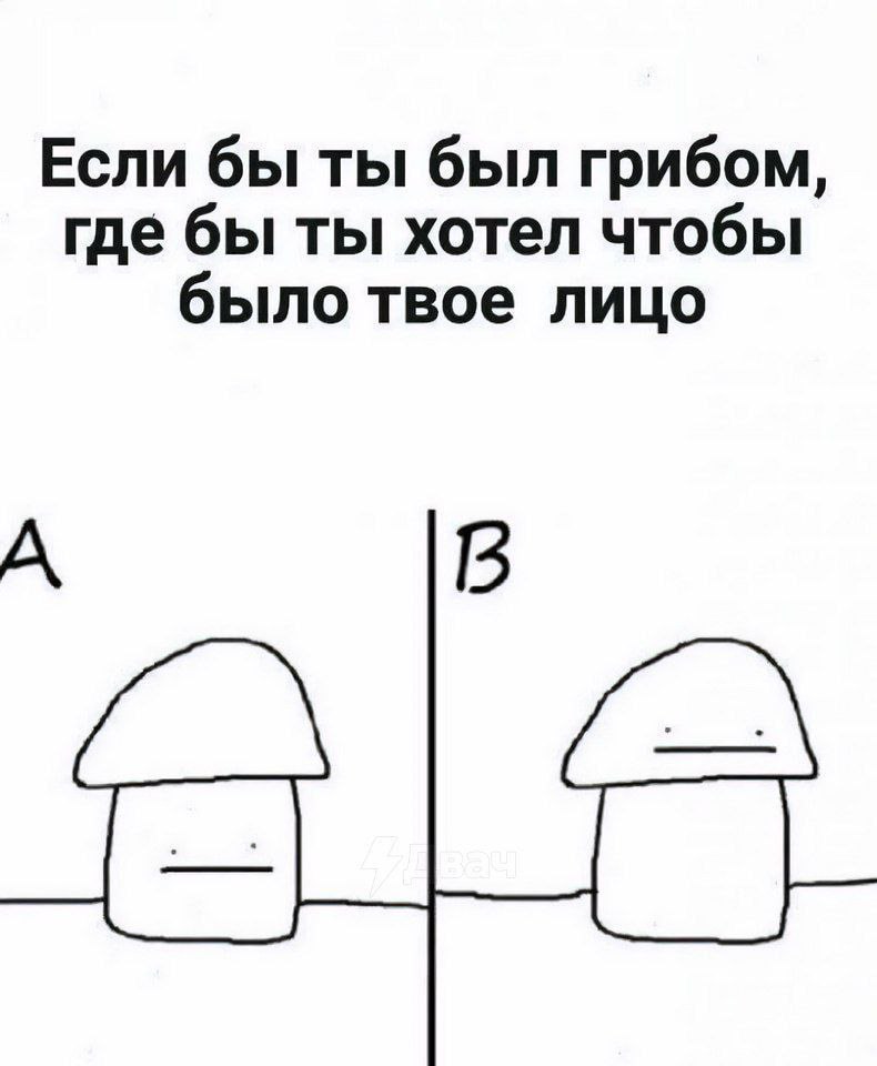 Дантес (@dantesdmitriy) on Twitter photo 