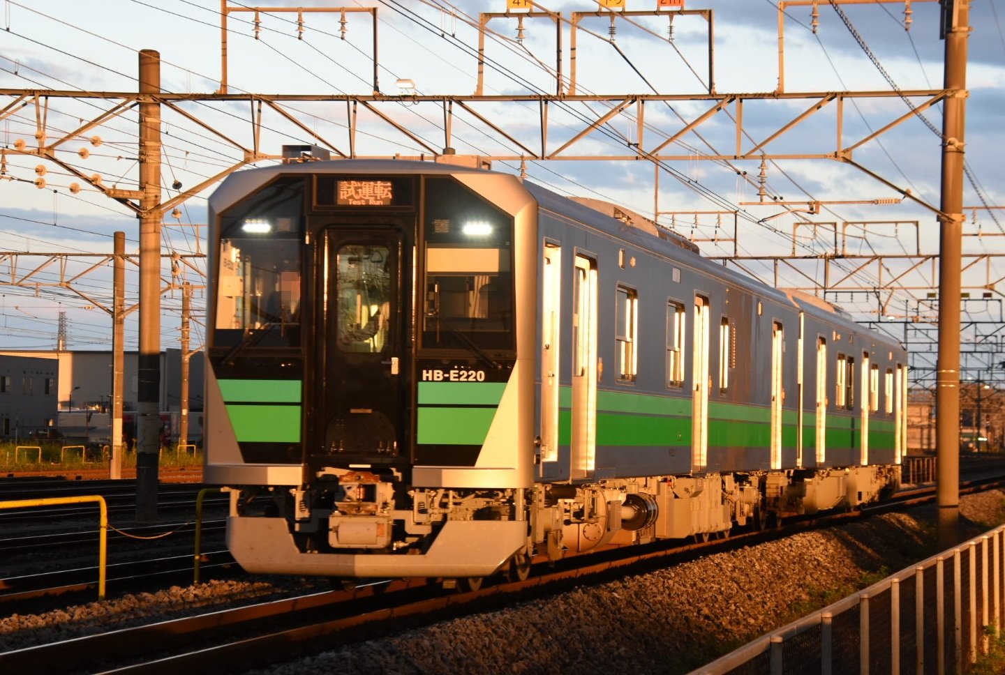 ゆきんこ 直接受け渡し ゆきんこ 直接受け渡し ゆきんこ 直接受け渡し 雷鳥87