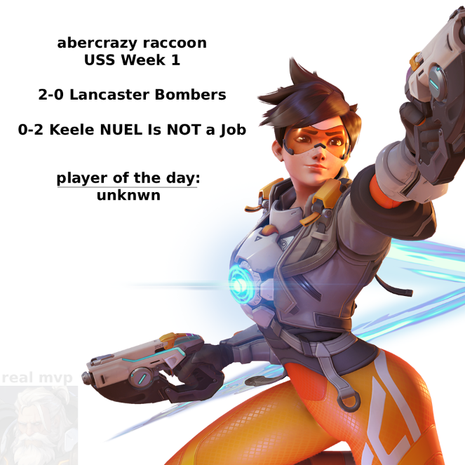 Abercrazy Raccoon tweet media