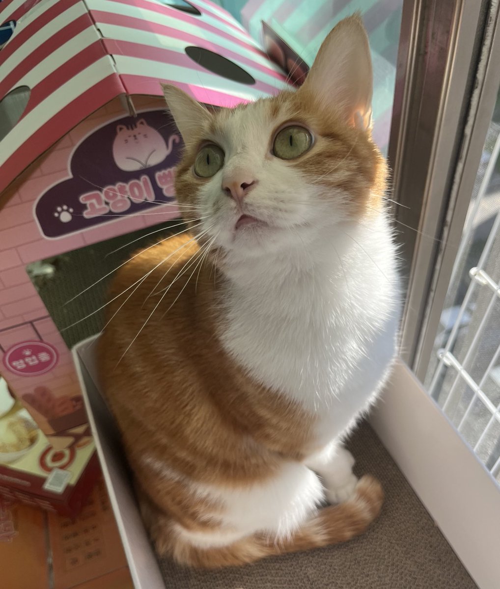 꾸무꾸무 공주같아 ~ ♡ 
햇돌이는? 그냥 시민.