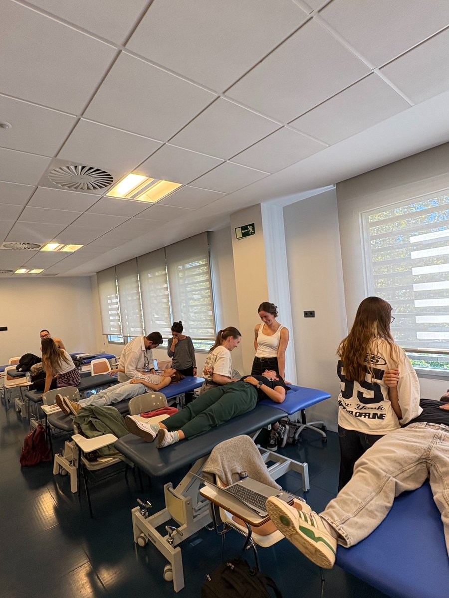 Máster Terapia Ocupacional Madrid tweet media