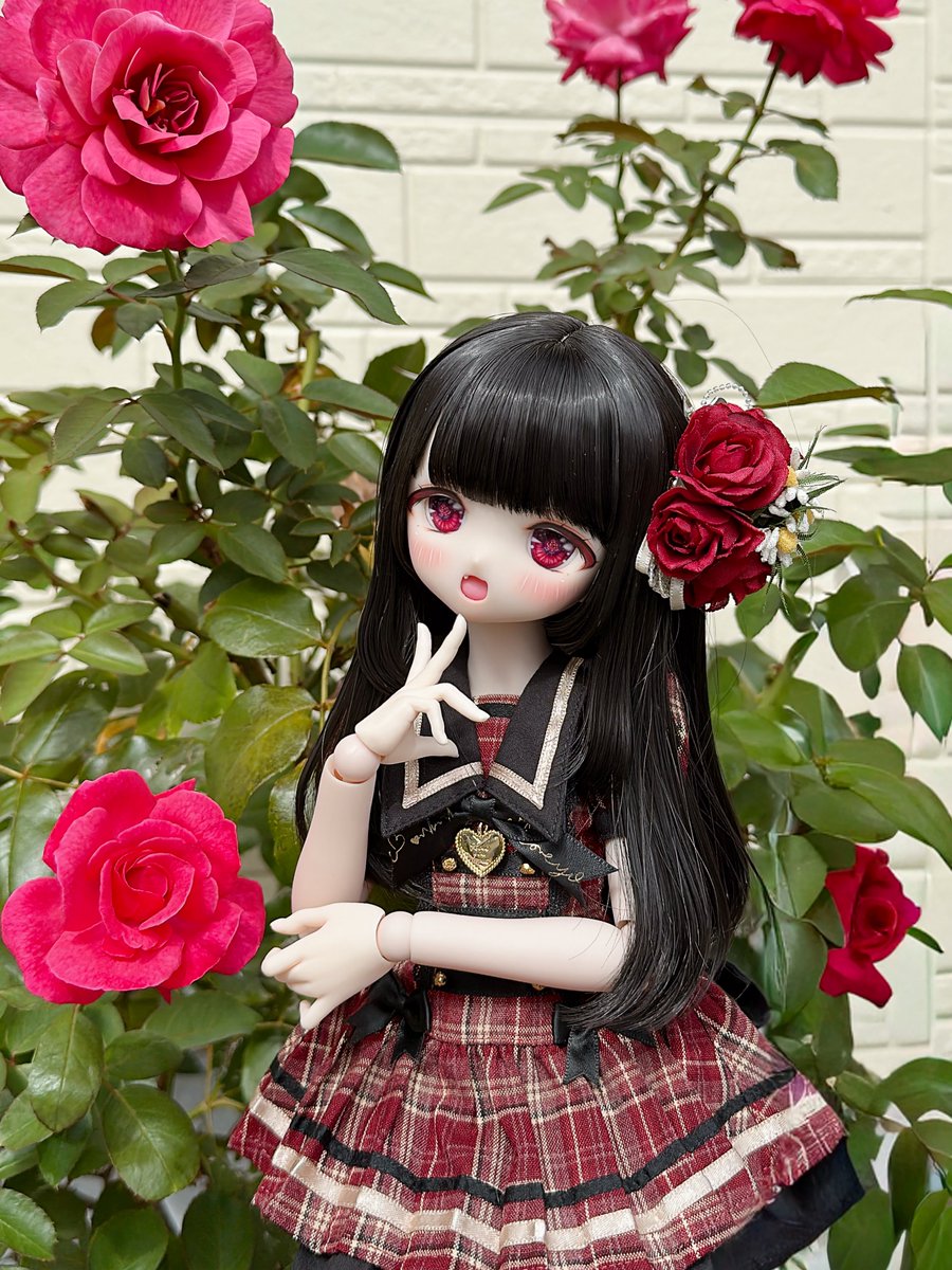 😘🥀

#メテオっ子
#夢ふわ