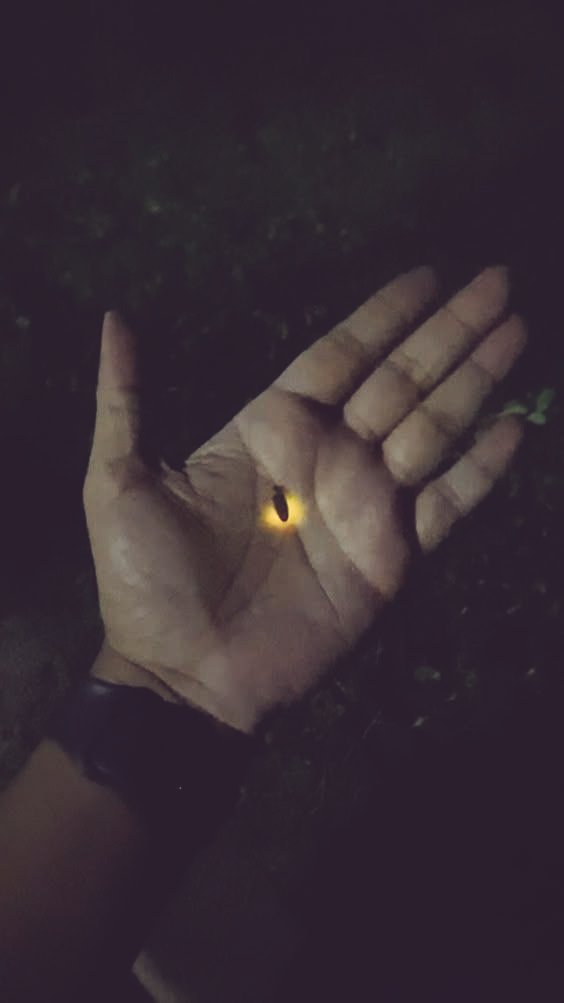 یادیں رہ جاتی ہیں یاد کرنے کے لیے 
اور وقـت سـب لے کــر گُــزر جاتا ہے
🕞

🖤 🥀
#خامو_شی #TDR__now
          ✨ #A___silence