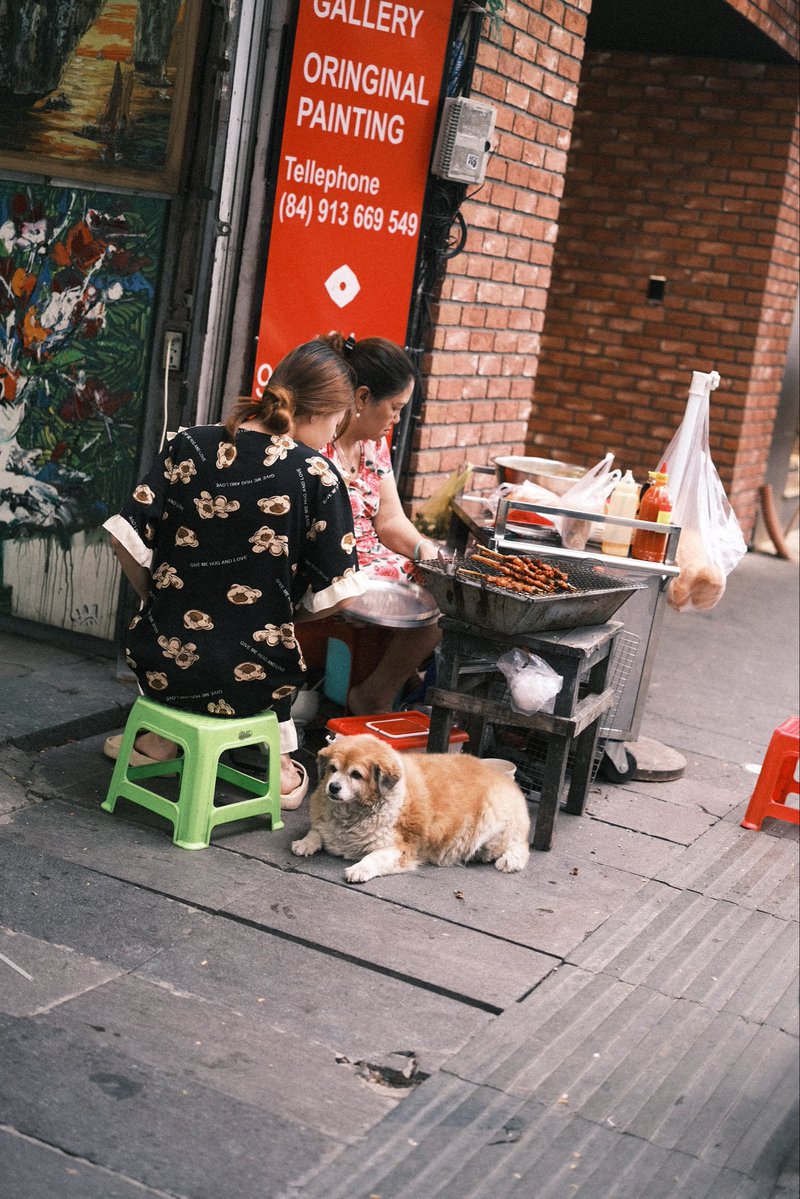 ホーチミンで出会った最高の犬の別の日の写真です 連日会えてうれしかった