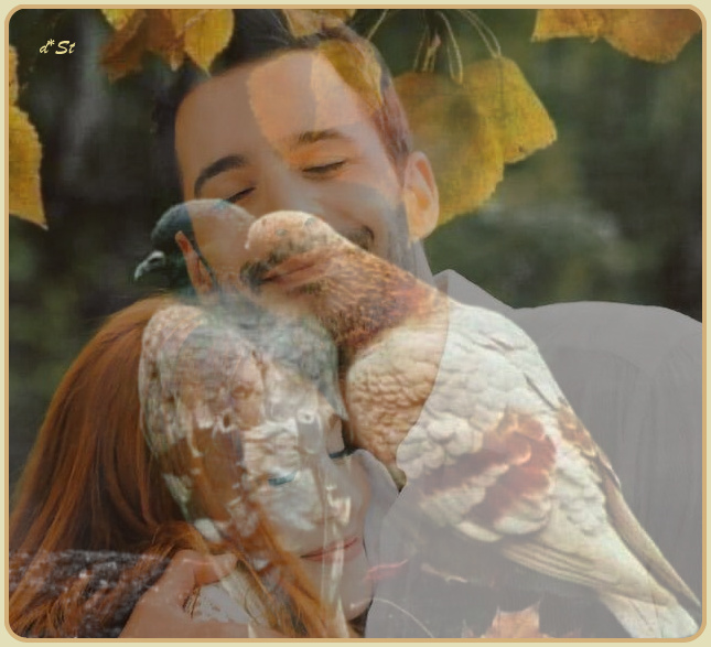 DoraStefanova1's tweet image. #barisarduc #elcinsangu #defom #kiralikask ♾