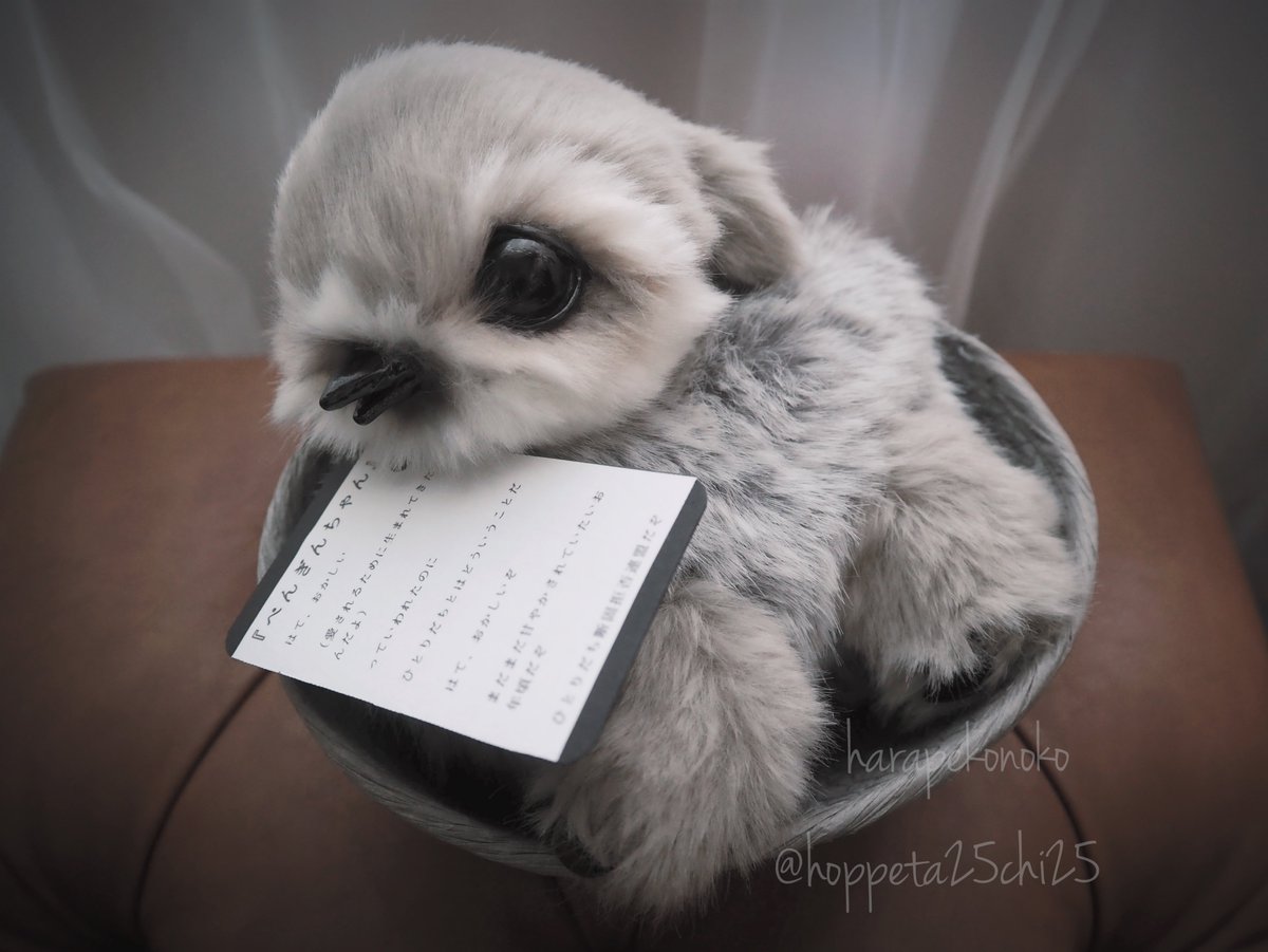 ハラペコ様 ヒヨコ アートドール ハラペコ (@hoppeta25chi25) / Posts / X