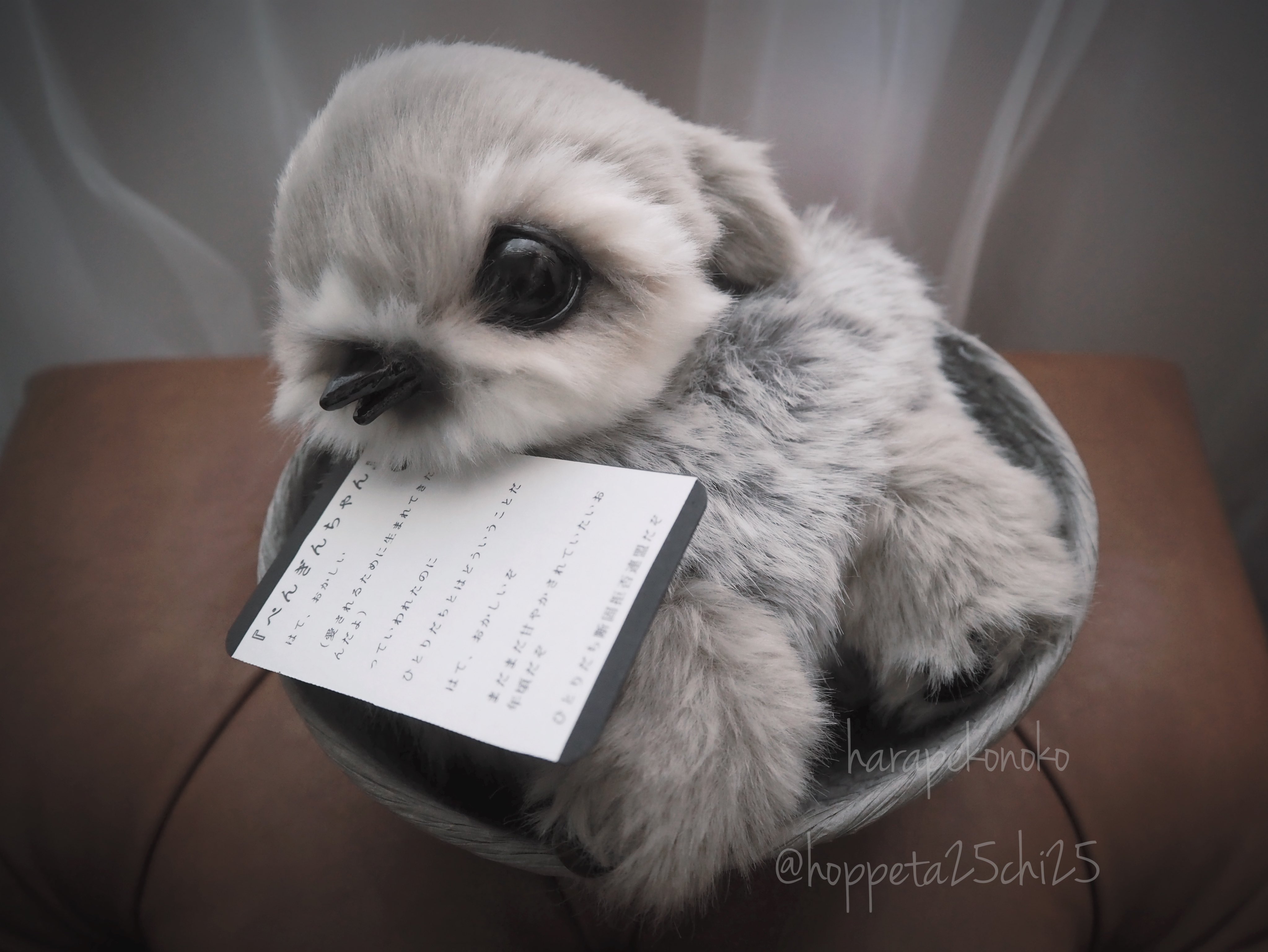 ハラペコ様 ヒヨコ アートドール ハラペコ (@hoppeta25chi25) / X