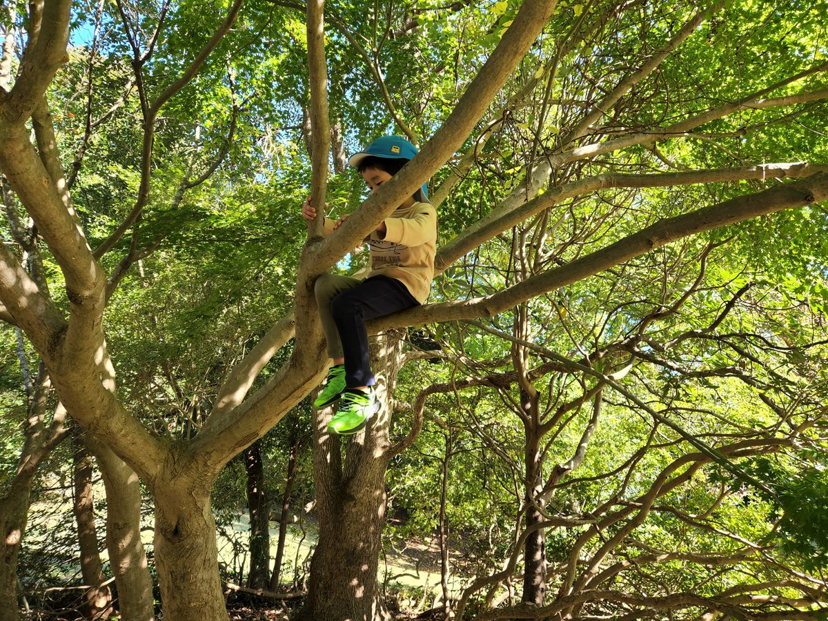 SATO（どすこいパイナポー） on X