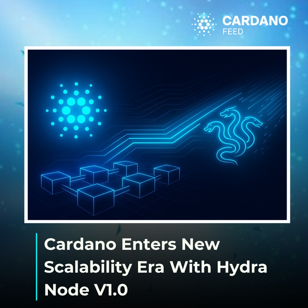 Cardano Feed ($ADA) tweet media