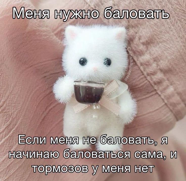 akonitmood's tweet photo. https://t.co/qEfhoG8ar1