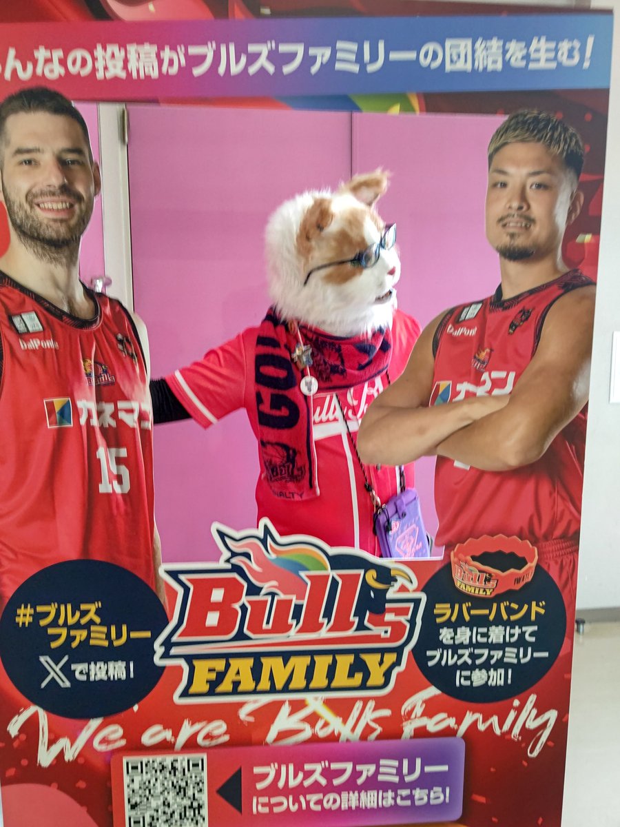 abecchifc178's tweet image. #岩手ビッグブルズ ホーム開幕戦二日間非常に悔しかったので楽しかったことをあげますニャ😺
🆕アイテムのラバーバンドをつけて🆕フォトスポットで撮影しましたニャー😺
※ラバーバンドはめる際には細心の注意が必要❗️じゃないと簡単に切れます。
皆も会場で撮影してニャ✨
 #ブルズファミリー