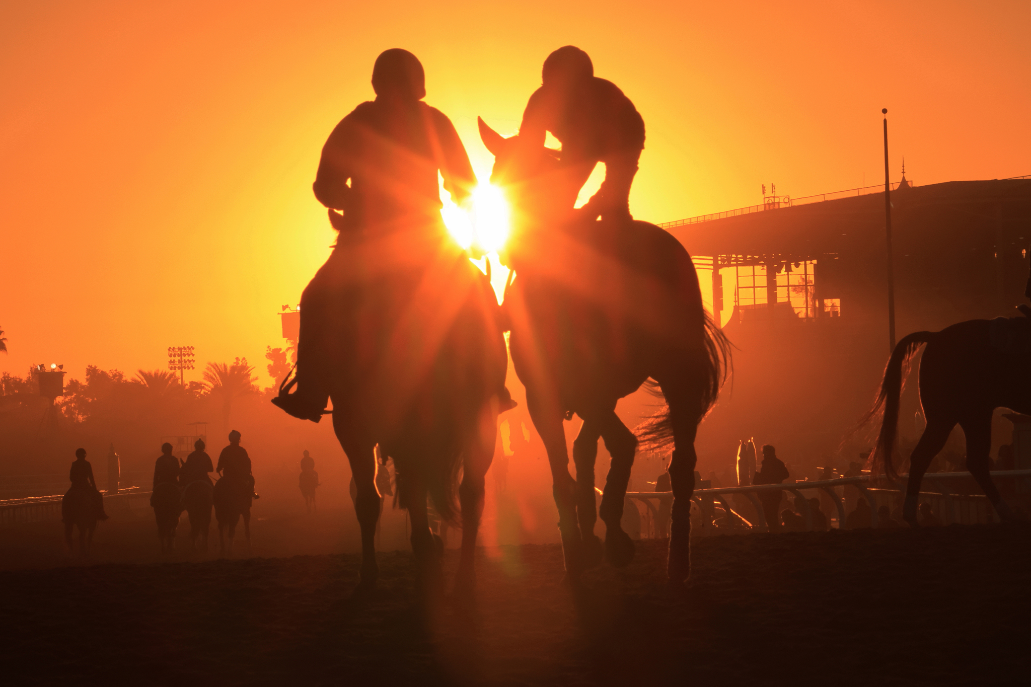 FUJIFILMSQUARE on X: 