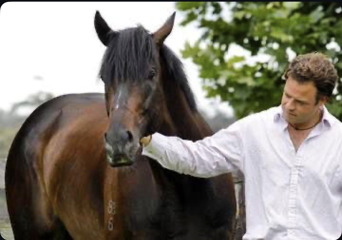 Won’t ever forget that forelock! 10 Group 1 wins around the world. He was an icon, he was and will be remembered as a legend of the turf and the breeding barn. So You Think 2006-2025