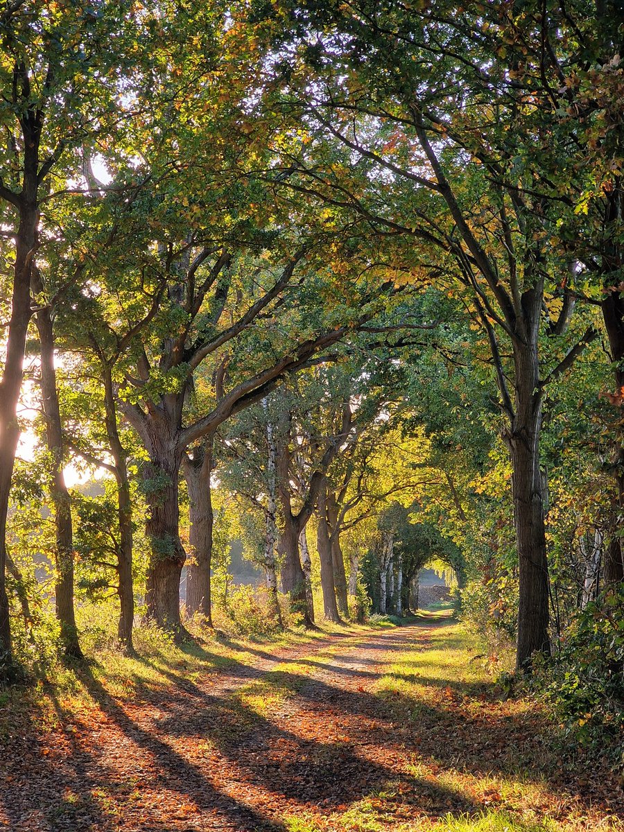 Good morning lovely friends. I wish you a happy new week.