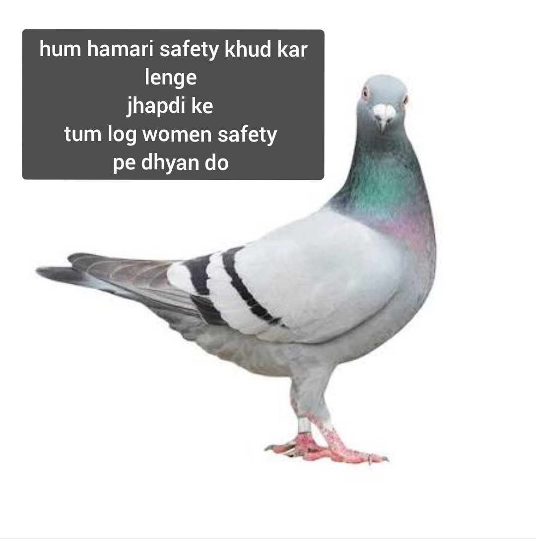 1sInto2s's tweet image.