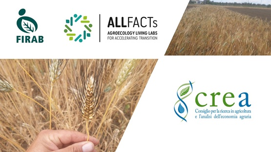 Cerealicoltura lucana bio e ricerca partecipata: progetti e competenze al servizio del territorio
📅28 ottobre👇
crea.gov.it/web/agricoltur…