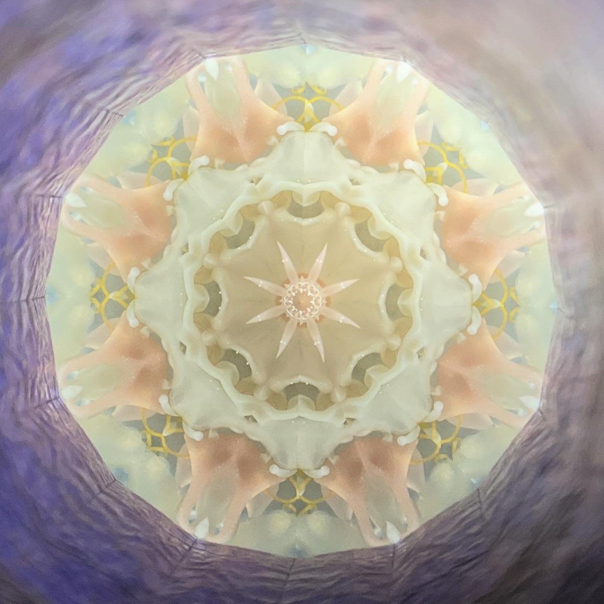 かたおかきくよん (@kikuyon) / Posts / X