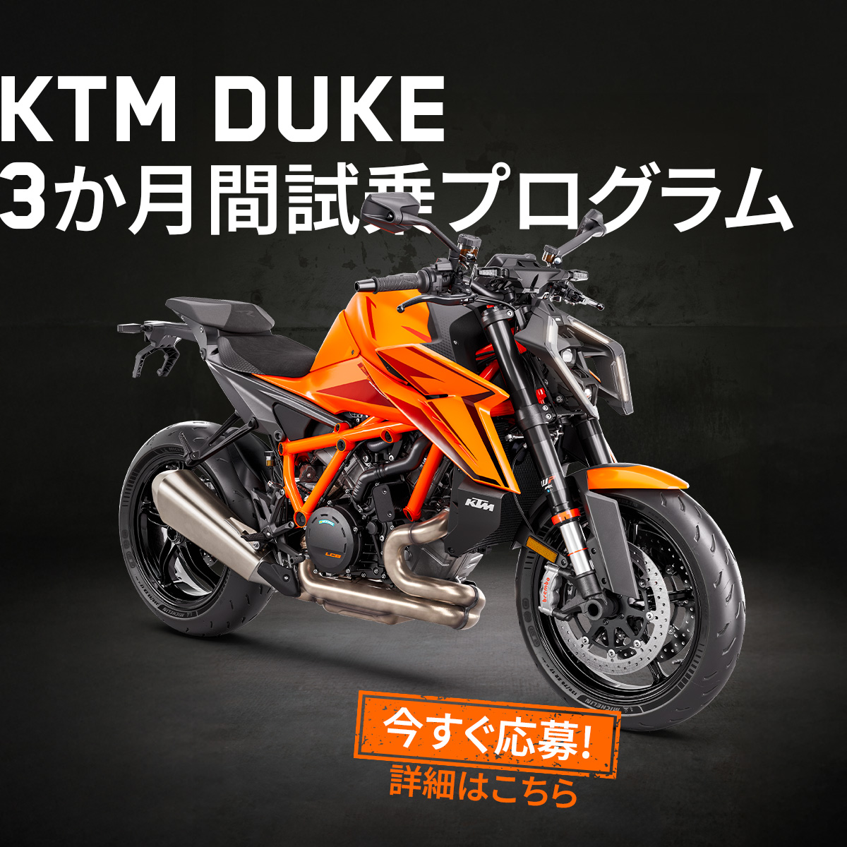その他 R duke R様 リクエスト 2点 まとめ商品 dk ktm様 リクエスト 2点 まとめ商品