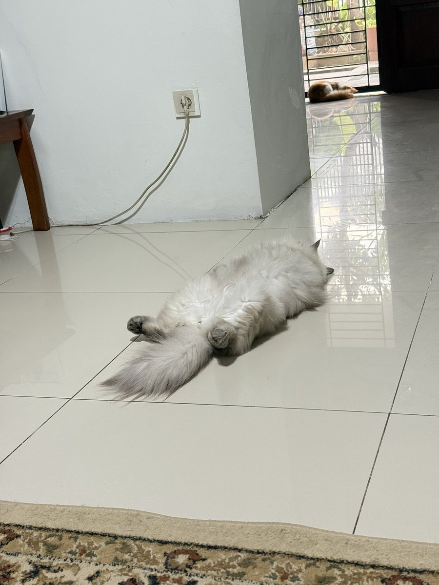 lagi sanlat dirumah malah pada tidur😡