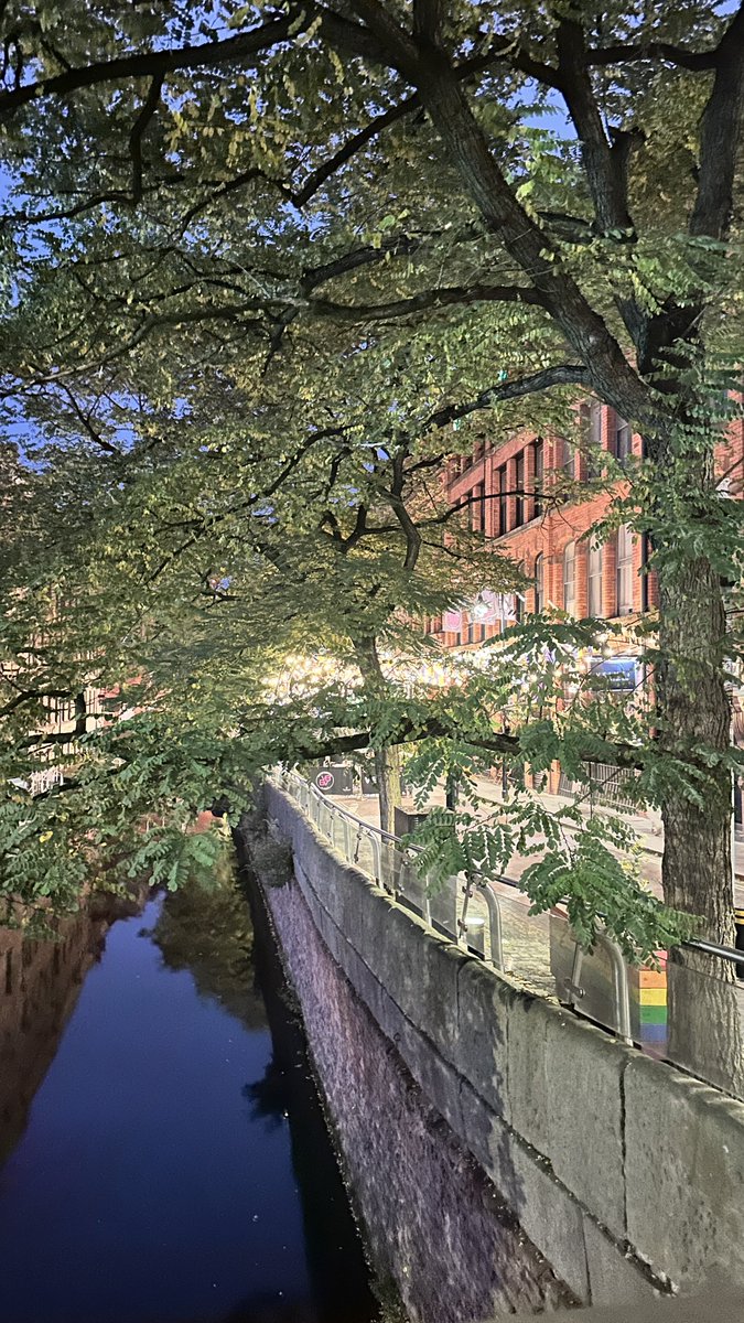 Matlow Pup tweet media