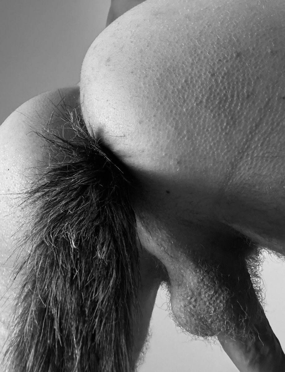 Bitch_to_insult tweet media