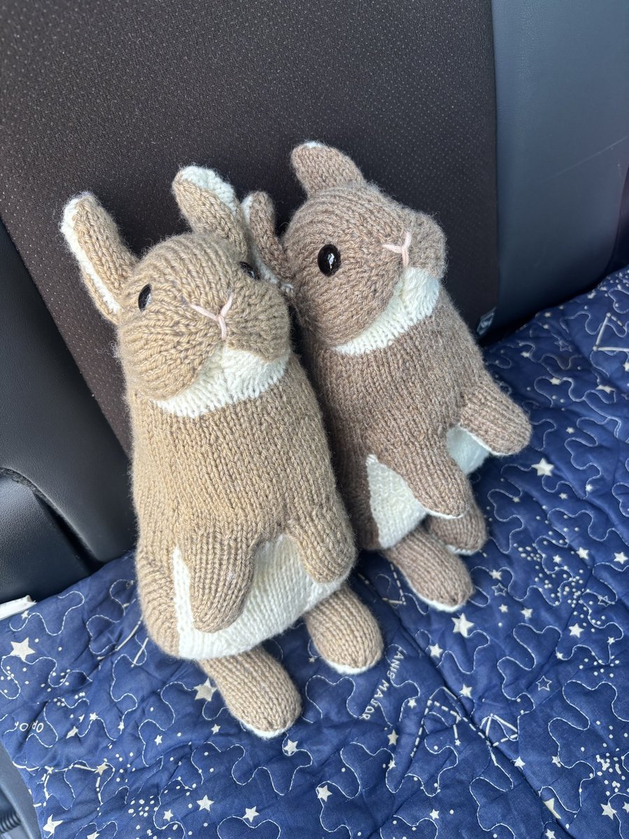 hanachoco01's tweet photo. うさぎさんのおともだち🐰🐰
 #andeboo
 #棒針編みのうさぎさん https://t.co/oYq53h99Ck