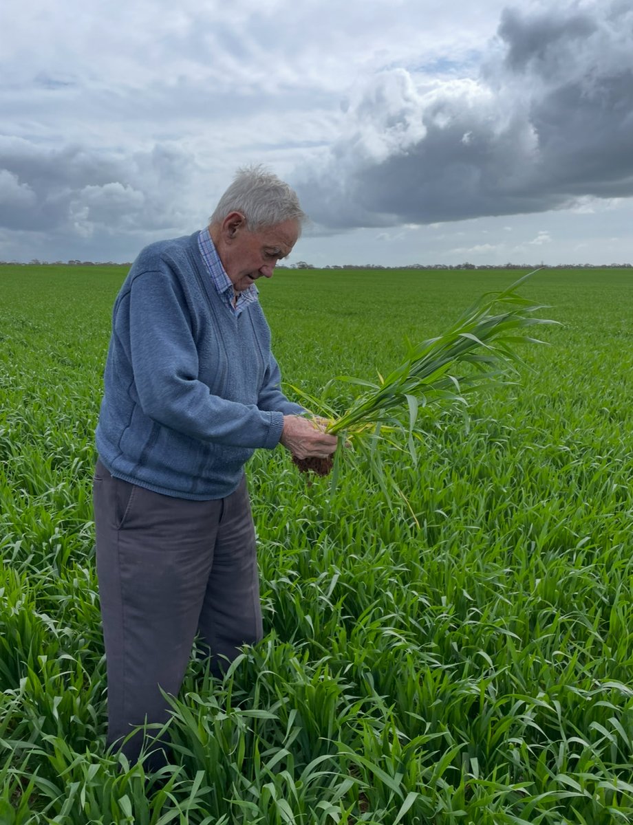 Matt Witney tweet media