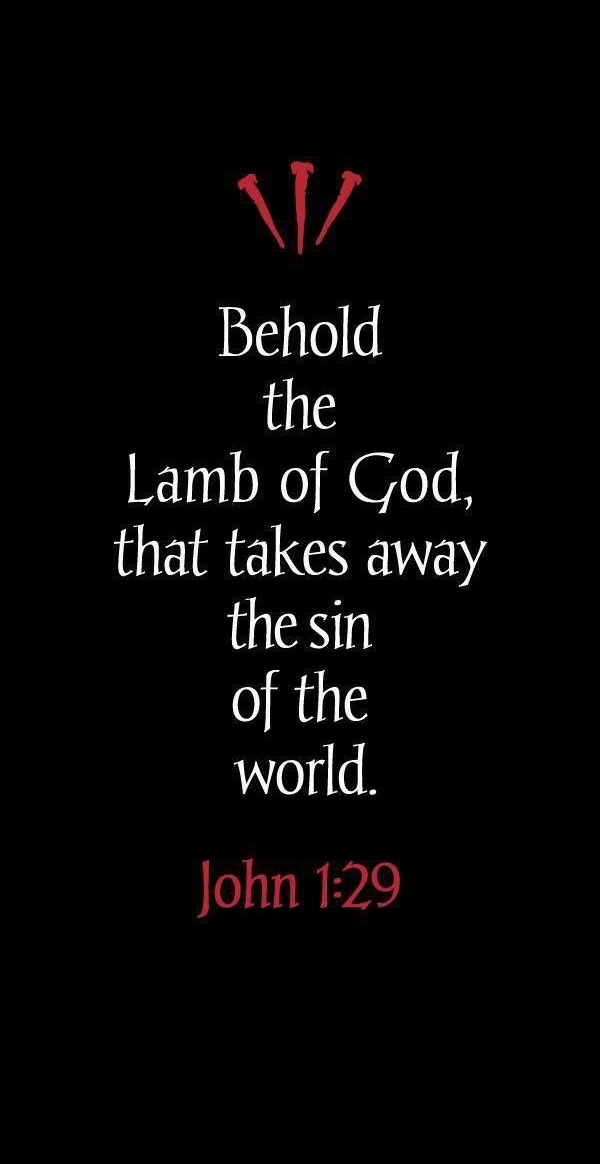 John 1:29