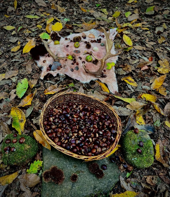 🌰 ¡Apúntate al Amagüestu en el Parque!  

📅25 y 26 de octubre y 8, 9, 15 y 16 de noviembre, a las 12:30 horas

 🎟️ tinyurl.com/27poohmw
