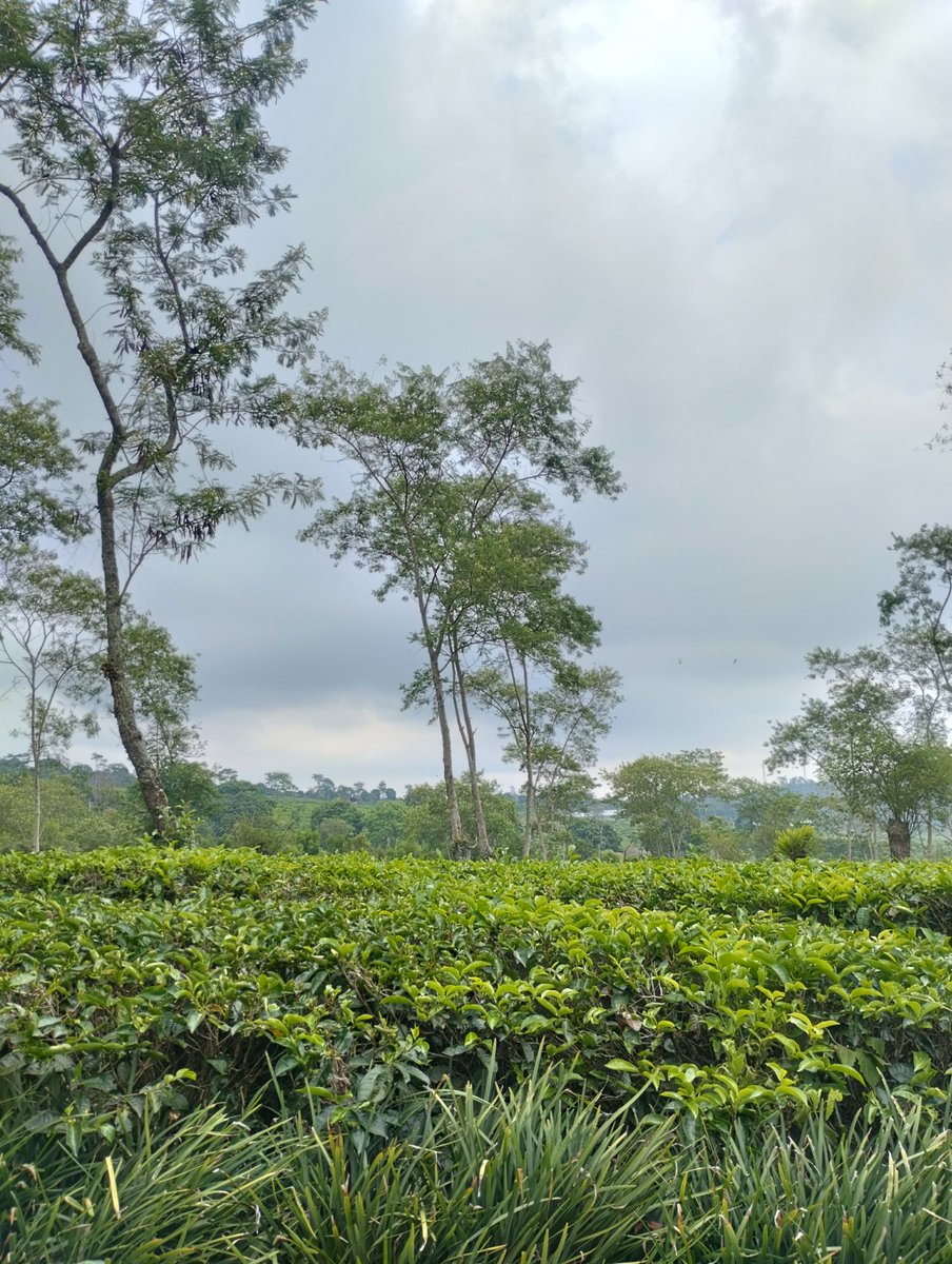 Touch some grass ahh moment