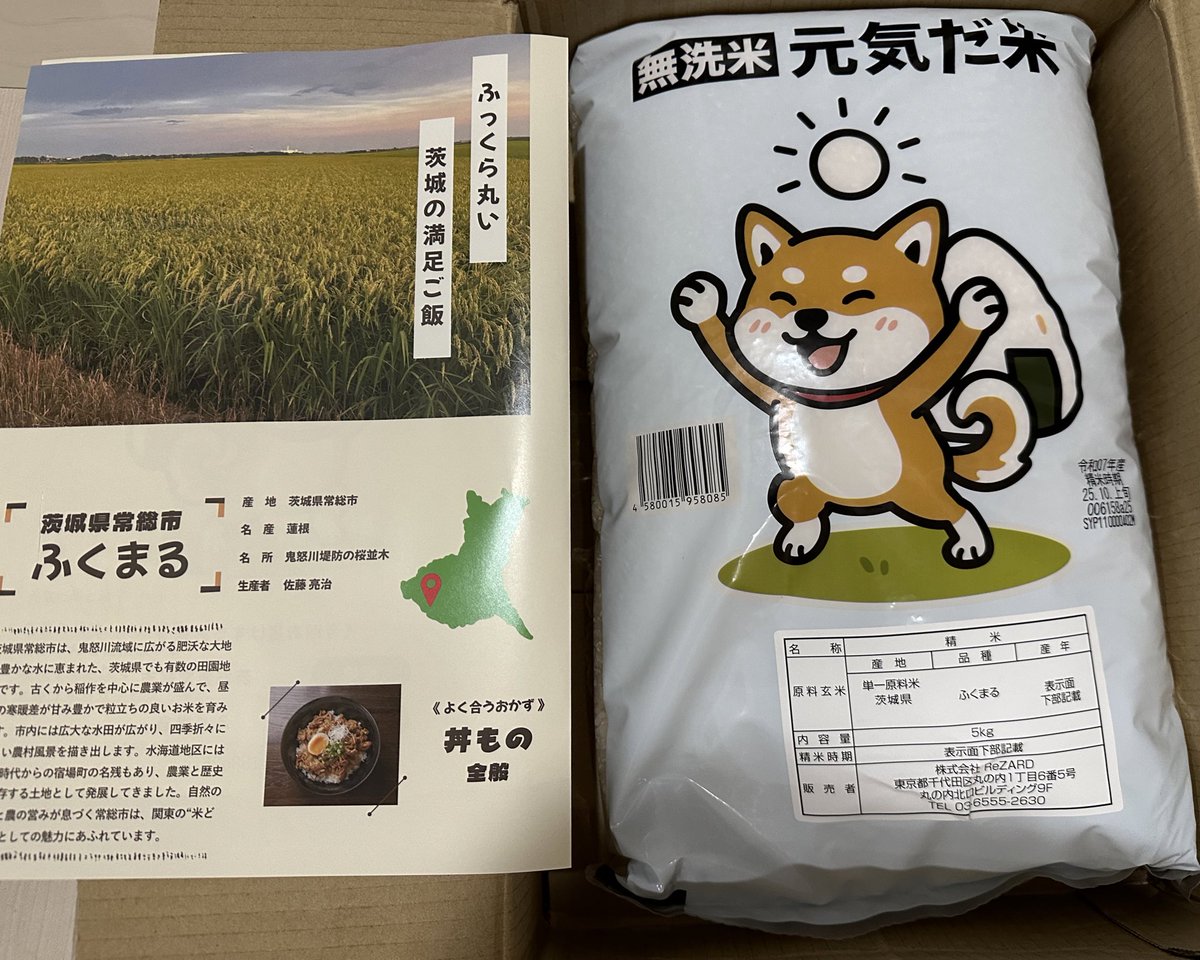 猫ももち🍦 tweet media