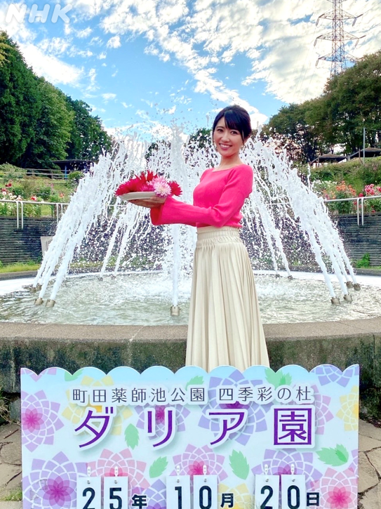 久保井朝美です 「町田ダリア園」で今年発表された新種に 「NSP