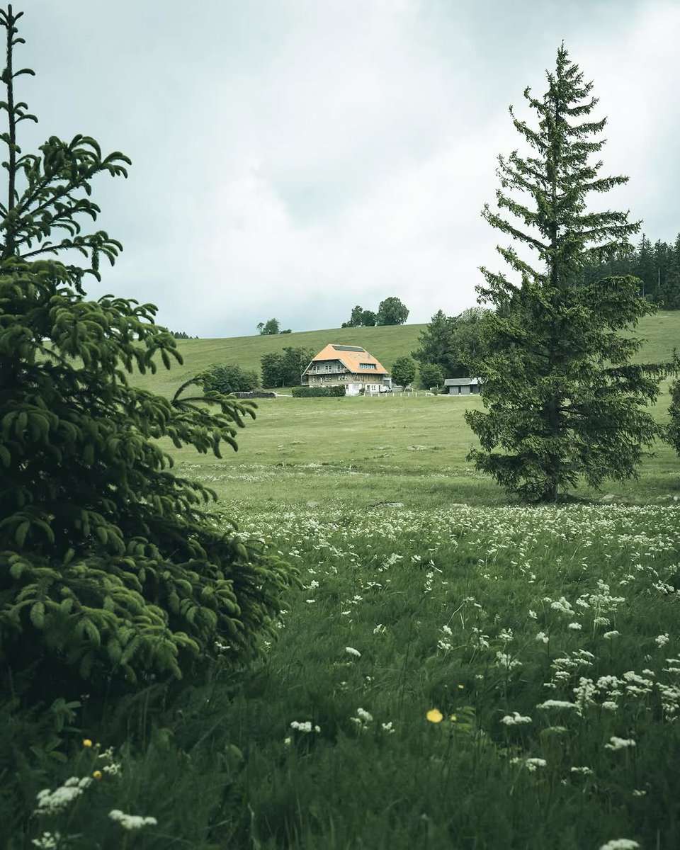 Peaceful moments in Germany's Black Forest