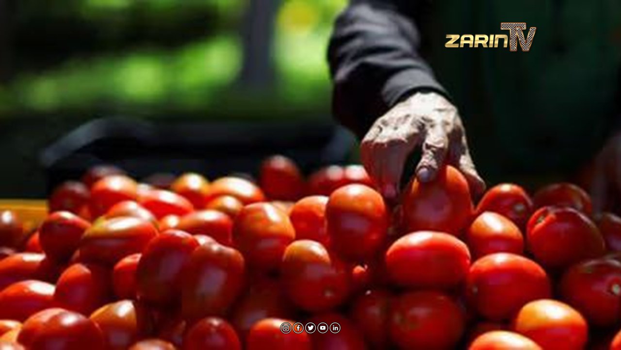 رومی افغانستان در کراچی نسبت به گوشت مرغ گران تر است