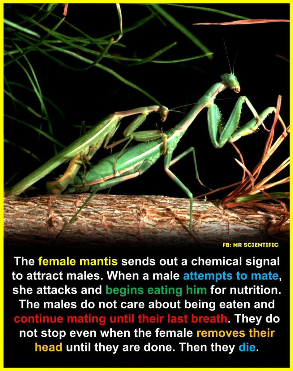 They literally cum and go 😂