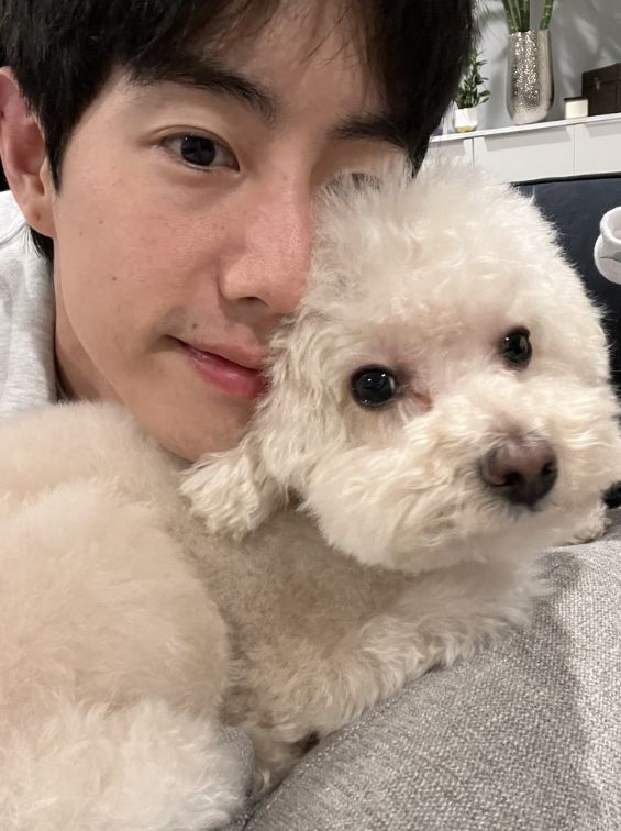 Olive_Tuanzy's tweet photo. แฟนคลับถามว่าไมไมเป็นหมา Introvert มั้ย พี่มาร์คตอบไม่ใช่ ไมไมน่ะชอบปาร์ตี้ 🤭 เด็กๆ ในบ้านมีแค่โนล่าที่เป็นอินโทรเวิร์ตชอบหลบซ่อนตัวไม่ยุ่งกับใคร #MarkTuan https://t.co/fS5HtDV2Dx