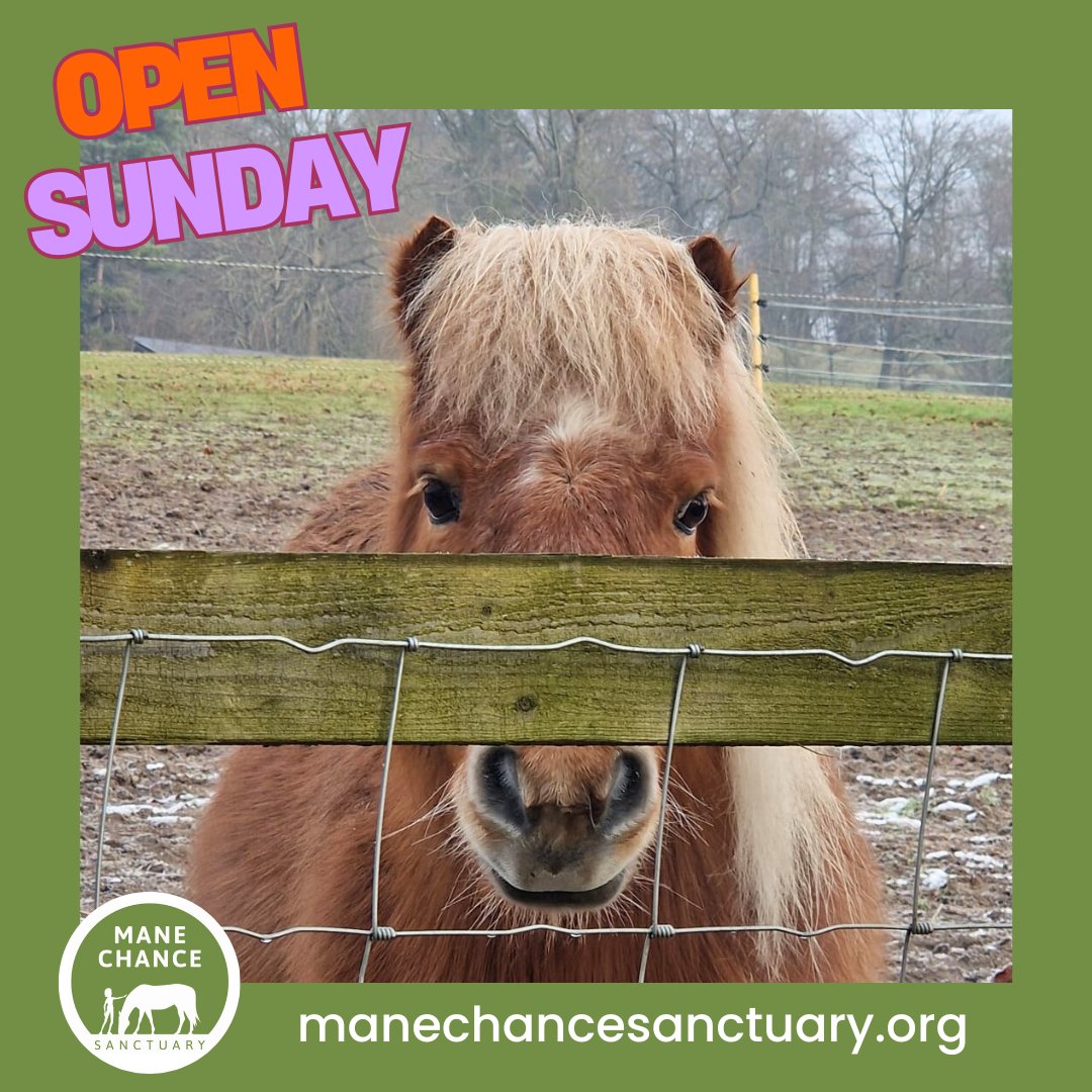 Mane Chance tweet media