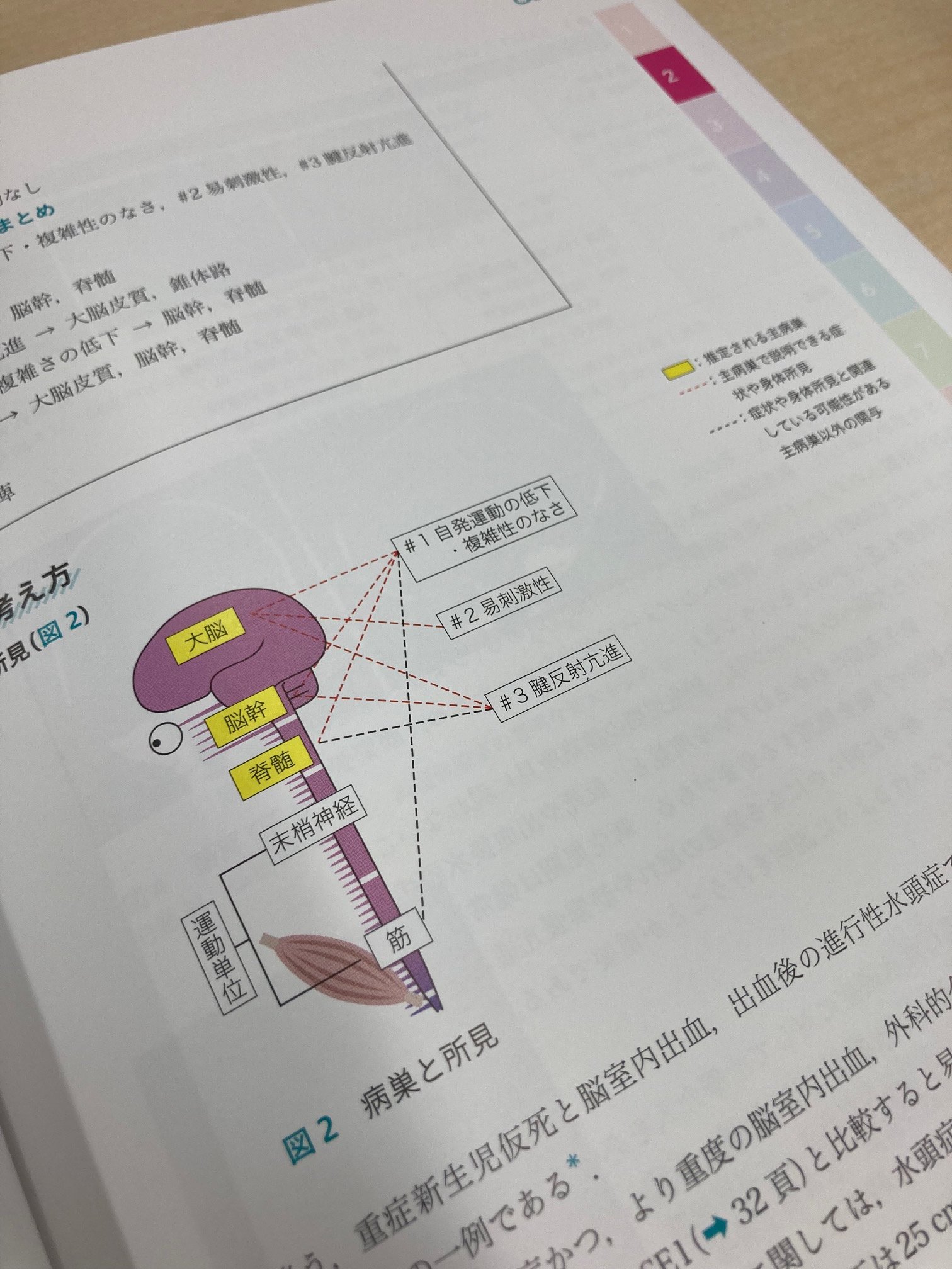 医学書院のもののみ 📚医学書院の「本」📕📗📘📙 (@igakushoinnohon) / X