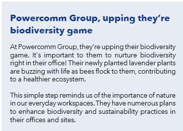 We were delighted to be featured in the latest issue of the Kildare Chamber Chronicle, where our new biodiversity efforts were revealed. You can read more about it here:

loom.ly/n7a0O0M

#localcommunity #kildarechamber
