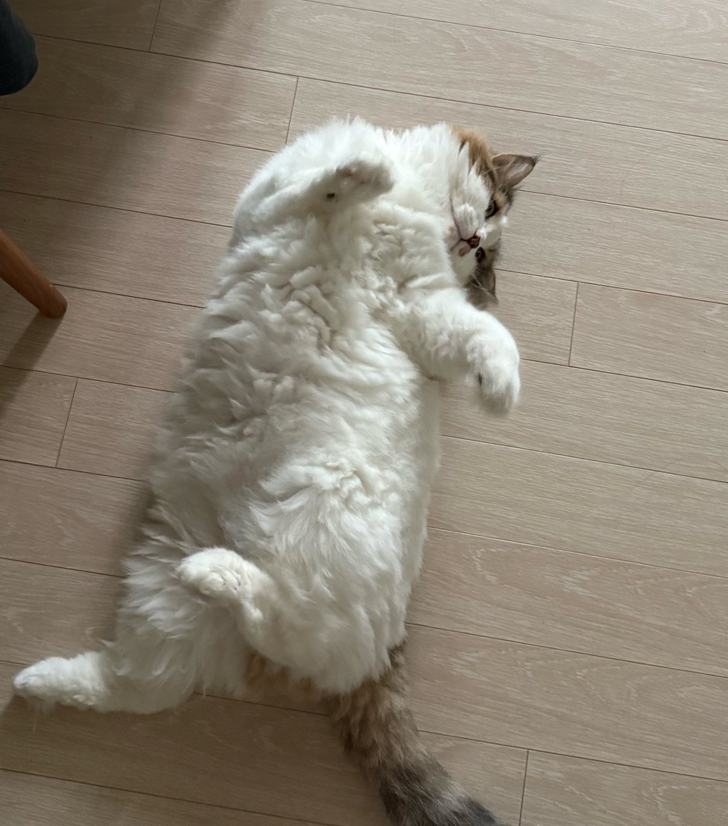 하이얏!